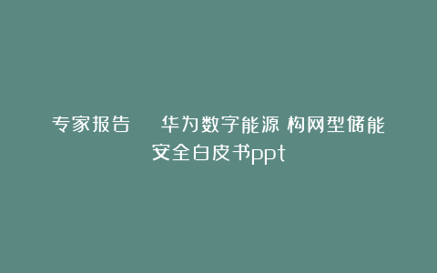 专家报告 | 华为数字能源：构网型储能安全白皮书ppt