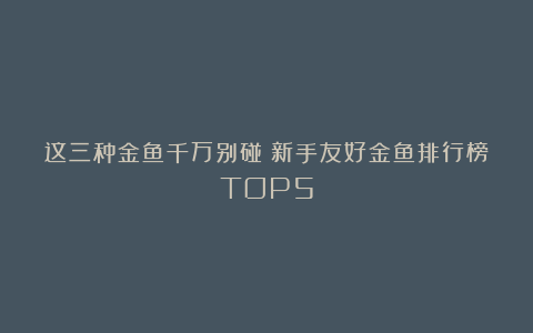 这三种金鱼千万别碰！新手友好金鱼排行榜TOP5