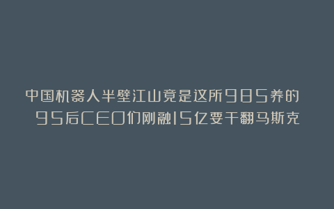 中国机器人半壁江山竟是这所985养的 95后CEO们刚融15亿要干翻马斯克