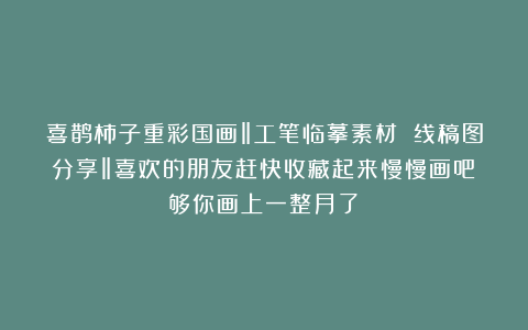 喜鹊柿子重彩国画‖工笔临摹素材 线稿图分享‖喜欢的朋友赶快收藏起来慢慢画吧！够你画上一整月了！
