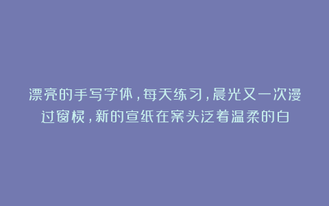 漂亮的手写字体，每天练习，晨光又一次漫过窗棂，新的宣纸在案头泛着温柔的白