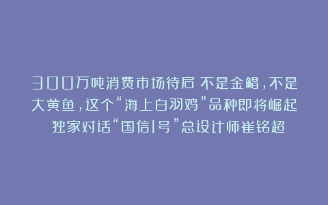300万吨消费市场待启！不是金鲳，不是大黄鱼，这个“海上白羽鸡”品种即将崛起？丨独家对话“国信1号”总设计师崔铭超