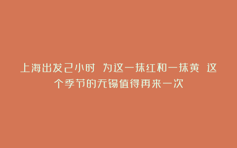 上海出发2小时 为这一抹红和一抹黄 这个季节的无锡值得再来一次