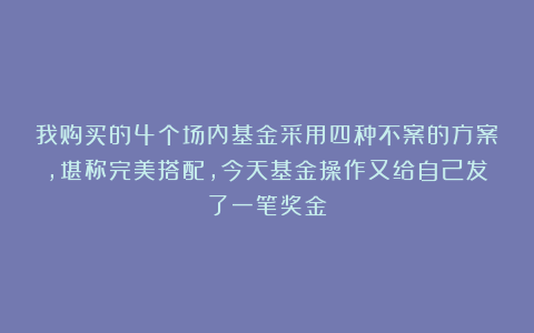 我购买的4个场内基金采用四种不案的方案，堪称完美搭配，今天基金操作又给自己发了一笔奖金