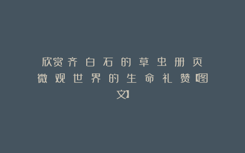 欣赏︱齐 白 石 的 草 虫 册 页：微 观 世 界 的 生 命 礼 赞【图文】