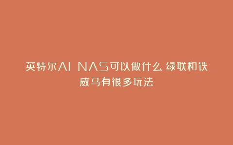 英特尔AI NAS可以做什么？绿联和铁威马有很多玩法