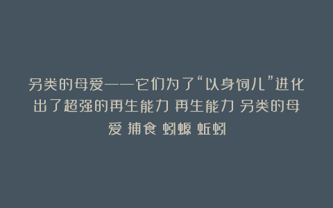 另类的母爱——它们为了“以身饲儿”进化出了超强的再生能力|再生能力|另类的母爱|捕食|蚓螈|蚯蚓