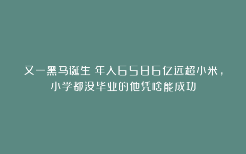 又一黑马诞生！年入6586亿远超小米，小学都没毕业的他凭啥能成功