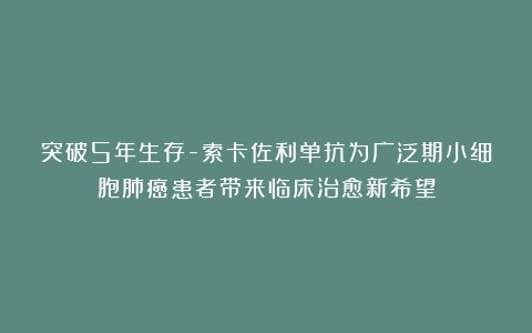 突破5年生存-索卡佐利单抗为广泛期小细胞肺癌患者带来临床治愈新希望