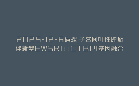 2025-12-6病理：子宫间叶性肿瘤伴新型EWSR1::CTBP1基因融合