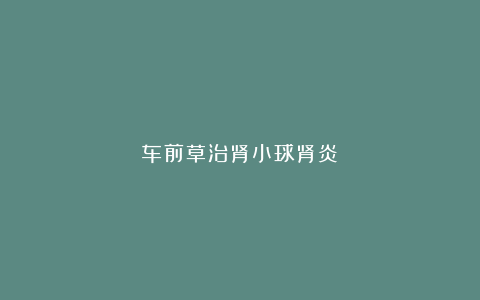 车前草治肾小球肾炎