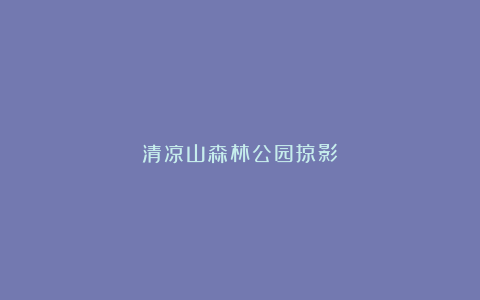 清凉山森林公园掠影