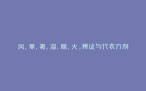 风、寒、暑、湿、燥、火，辨证与代表方剂