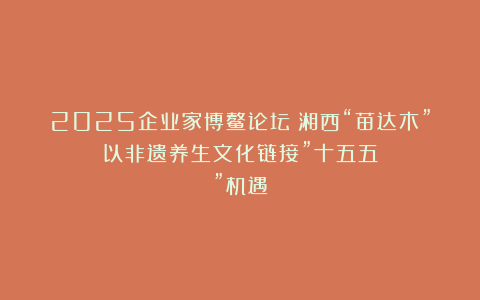 2025企业家博鳌论坛：湘西“苗达木”以非遗养生文化链接”十五五”机遇