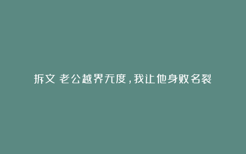 拆文《老公越界无度，我让他身败名裂》