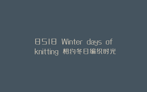 8518 Winter days of knitting 相约冬日编织时光