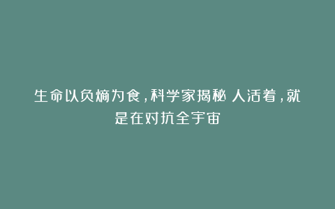 生命以负熵为食，科学家揭秘：人活着，就是在对抗全宇宙