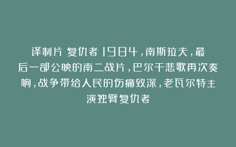 译制片《复仇者》1984，南斯拉夫，最后一部公映的南二战片，巴尔干悲歌再次奏响，战争带给人民的伤痛致深，老瓦尔特主演独臂复仇者