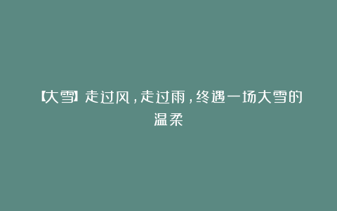 【大雪】走过风，走过雨，终遇一场大雪的温柔