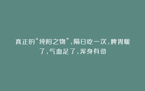 真正的“纯阳之物”，隔日吃一次，脾胃暖了，气血足了，浑身有劲！