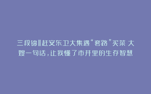 三段锦‖赶安东卫大集遇“套路”买菜？大嫂一句话，让我懂了市井里的生存智慧