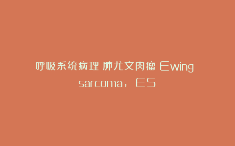 呼吸系统病理｜肺尤文肉瘤（Ewing sarcoma, ES）