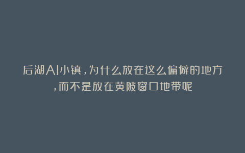 后湖AI小镇，为什么放在这么偏僻的地方，而不是放在黄陂窗口地带呢？