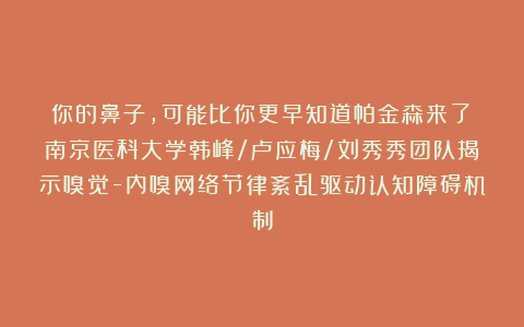 你的鼻子，可能比你更早知道帕金森来了！南京医科大学韩峰/卢应梅/刘秀秀团队揭示嗅觉-内嗅网络节律紊乱驱动认知障碍机制