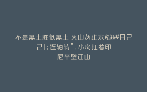 不是黑土胜似黑土！火山灰让水稻”连轴转”，小岛扛着印尼半壁江山
