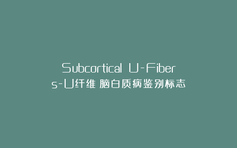 Subcortical U-Fibers-U纤维：脑白质病鉴别标志