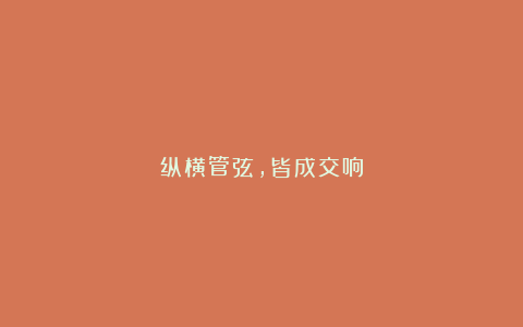 纵横管弦，皆成交响