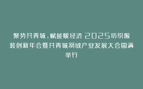 聚势共青城,赋能暖经济!2025纺织服装创新年会暨共青城羽绒产业发展大会圆满举行