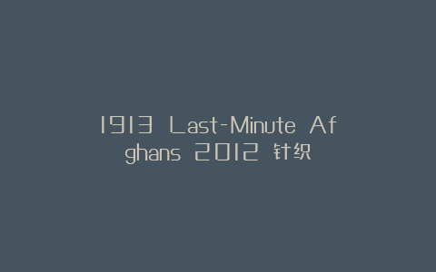 1913 Last-Minute Afghans 2012 针织