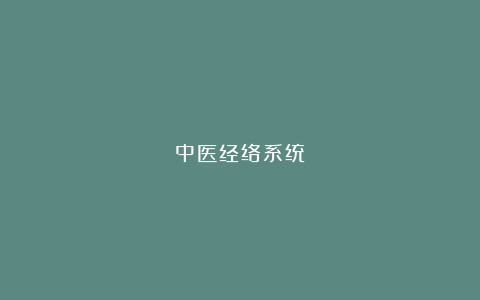 中医经络系统