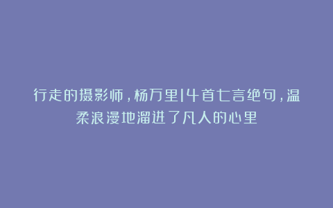 行走的摄影师,杨万里14首七言绝句,温柔浪漫地溜进了凡人的心里