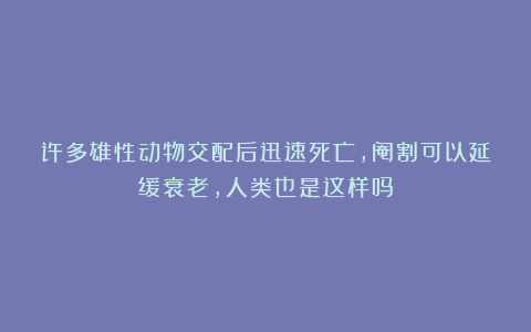 许多雄性动物交配后迅速死亡，阉割可以延缓衰老，人类也是这样吗