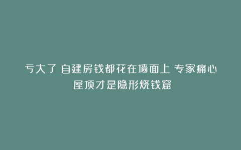 亏大了！自建房钱都花在墙面上？专家痛心：屋顶才是隐形烧钱窟