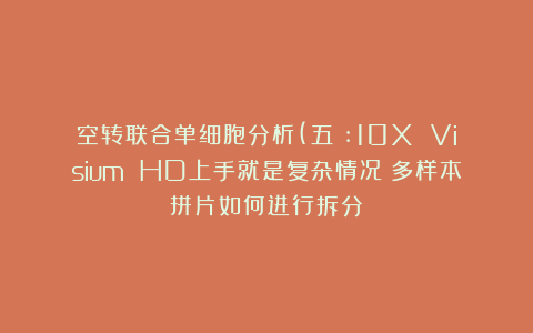 空转联合单细胞分析(五）:10X Visium HD上手就是复杂情况？多样本拼片如何进行拆分？