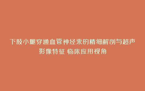 下肢小腿穿通血管神经束的精细解剖与超声影像特征：临床应用视角
