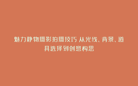 魅力静物摄影拍摄技巧：从光线、背景、道具选择到创意构思