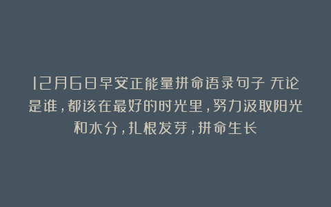 12月6日早安正能量拼命语录句子：无论是谁，都该在最好的时光里，努力汲取阳光和水分，扎根发芽，拼命生长！