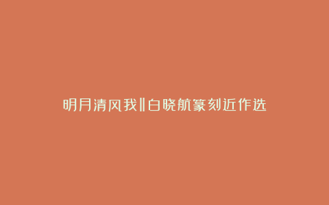 明月清风我‖白晓航篆刻近作选