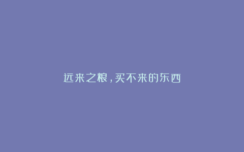 远来之粮，买不来的东西