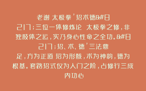 老谢：太极拳’招术德’三位一体修炼论 太极拳之修，非独肢体之运，实乃身心性命之全功。’招、术、德’三法鼎足，方为正道：招为形骸，术为神韵，德为根基。套路招式仅为入门之阶，占修行三成；内功心