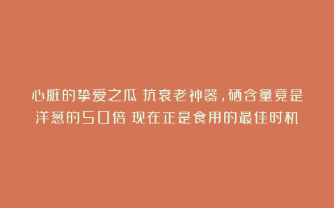 心脏的挚爱之瓜：抗衰老神器，硒含量竟是洋葱的50倍！现在正是食用的最佳时机