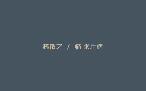 林散之 / 临《张迁碑》
