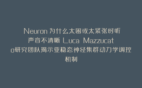 《Neuron》为什么太困或太紧张时听声音不清晰?Luca Mazzucato研究团队揭示亚稳态神经集群动力学调控机制