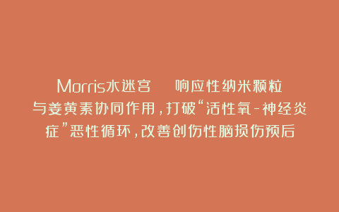 Morris水迷宫 | 响应性纳米颗粒与姜黄素协同作用，打破“活性氧-神经炎症”恶性循环，改善创伤性脑损伤预后
