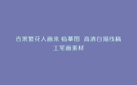 吉果繁花入画来ｌ临摹图 高清白描线稿ｌ工笔画素材