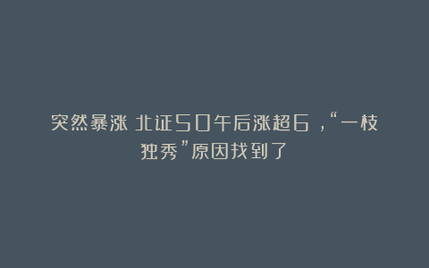 突然暴涨！北证50午后涨超6%，“一枝独秀”原因找到了！
